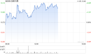 高端与神秘感淡去 曾风靡一时的加拿大鹅要被卖了？