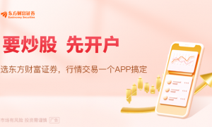 奇！同辉信息上市前多年财务造假 为何不构成欺诈发行？