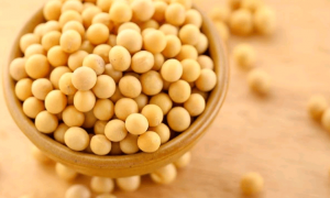 吃对是宝，吃错是草：大豆营养吸收的关键在于吃法