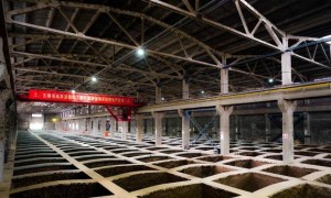 五粮液三季报的“雷”，早在20年前就埋下了