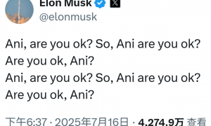 邪修马斯克，只能靠中国回血了