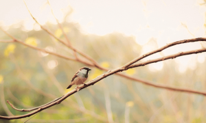 假期第五天，市场传来3大消息，其中一个令人警惕！
