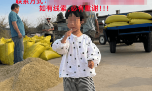 辽宁失联4岁女童已找到，警方通报：生命体征平稳；此前车内睡觉离奇失踪，村民曾称担心被老鹰抓走