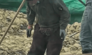 一男子在酸菜池中抽烟并吐痰，辽宁兴城通报