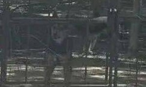 北大医药董事长徐晰人被抓前，警方去集团厂区调查过！内部人士：集团资产被其处置，巨额资金去向不明