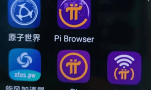 60岁父母“炒币”，掏空多少中产家庭？ || 深度