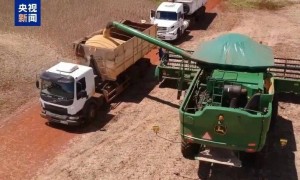 “中国一粒都没买”！大豆滞销，美国农民卖设备维持生计，“对特朗普的忠诚将接受考验”！特朗普满世界找买家，美协会急了：赶紧和中国谈