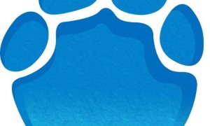 女星卡戴珊公开质疑美国登月造假，NASA：确实去过月球6次，将在特朗普领导下重返月球